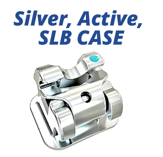 Silver, Active, SLB CASE